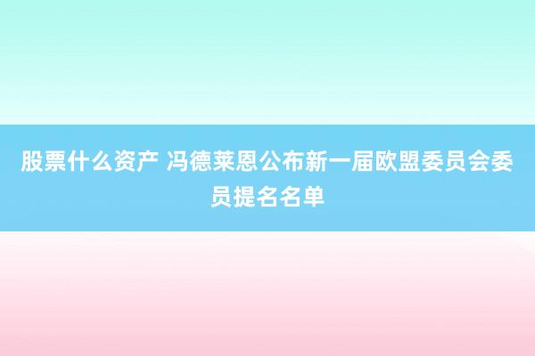 股票什么资产 冯德莱恩公布新一届欧盟委员会委员提名名单