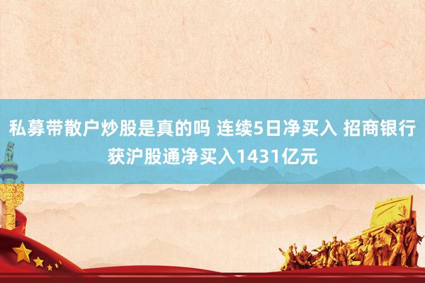 私募带散户炒股是真的吗 连续5日净买入 招商银行获沪股通净买入1431亿元