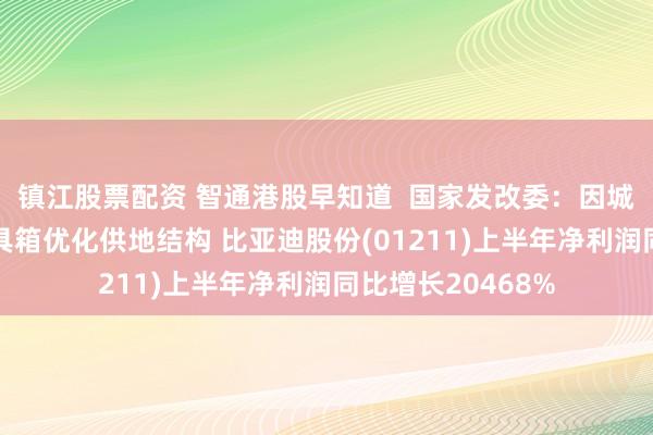 镇江股票配资 智通港股早知道  国家发改委：因城施策用好政策工具箱优化供地结构 比亚迪股份(01211)上半年净利润同比增长20468%