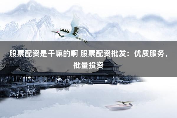 股票配资是干嘛的啊 股票配资批发：优质服务，批量投资